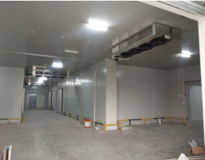 云南昭通140平方左右蔬菜保鲜冷库工程案列