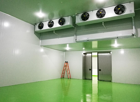 四川宜宾5000立方米大型食品冷库工程案列