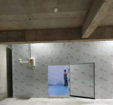 四川南充小型海鲜速冻冷库工程案列