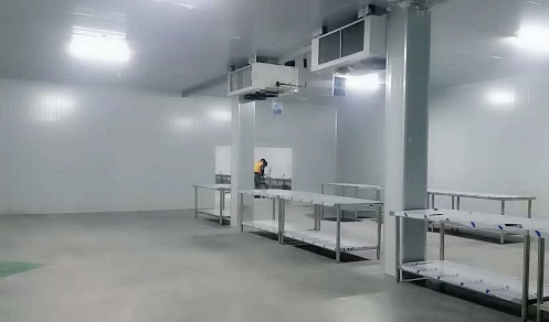 江苏20平米海鲜冷库工程案列
