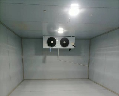 重庆江津双福66平米小型水果冷藏工程案列