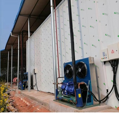 云南大理55平米医药冷库工程案列