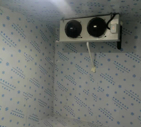 陕西安康12平米农产品冷藏库工程案列