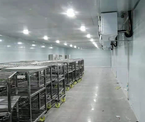 重庆江津200平米物流冷库工程案列