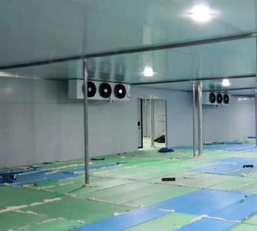 广西南宁228平米化工冷库工程案列