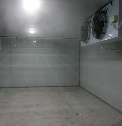 重庆奉节36平米水果低温库工程案列