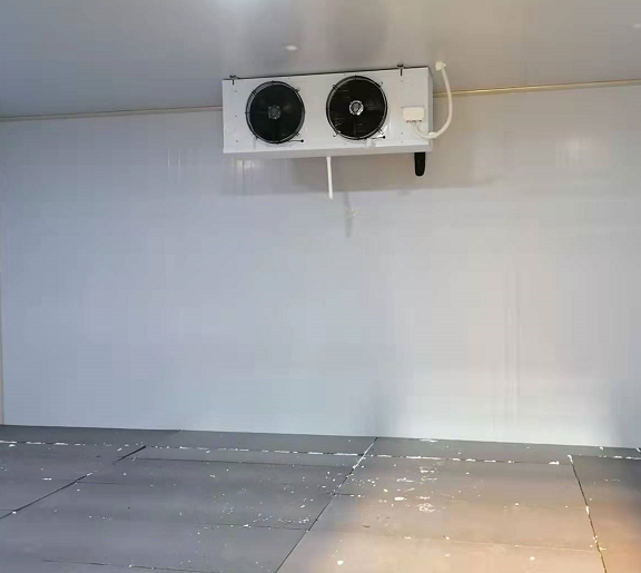 广安武胜17.2平米食品保鲜库案列