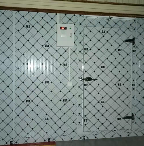 湖北恩施35平米医用低温冷冻库案列