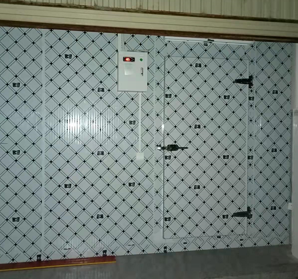 贵阳花溪18平米猪肉冷冻库案列