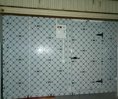 四川内江11.5平米食堂双温库案列