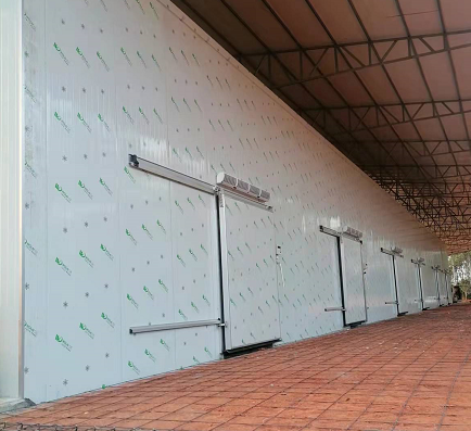 重庆西永109平米电商物流冷链库案列