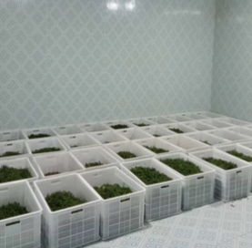 贵州铜仁14平米保鲜库案列