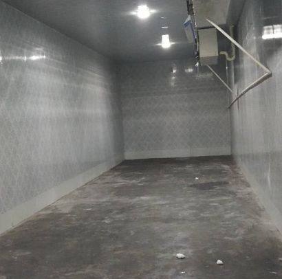 遵义正安38.8平米白茶冻库案列