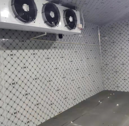 云南玉溪21平米学校食堂冷库案列