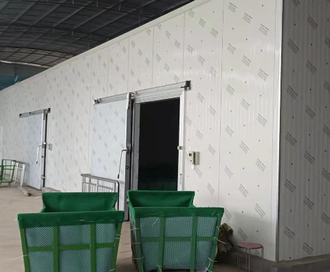 云南昆明66平米仓库物流冷库案列