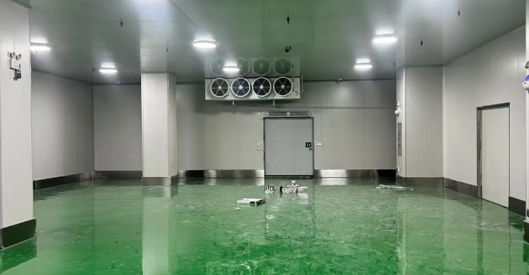 杭州500㎡医疗冷库2.jpg