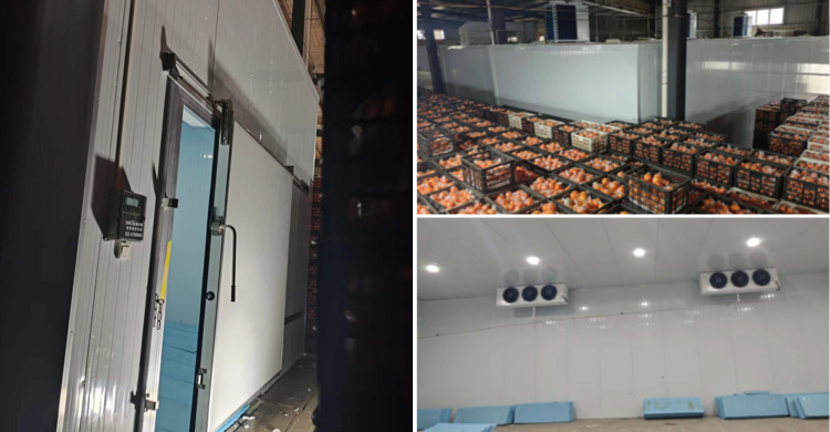 柑橘保鲜冷藏库1.jpg